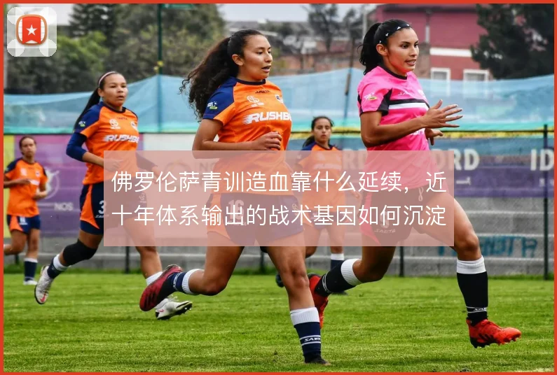 佛罗伦萨青训造血靠什么延续,近十年体系输出的战术基因如何沉淀